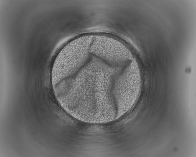 X0000097291358200803141501