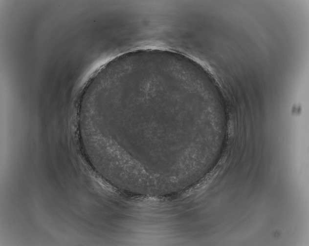 X0000097291359200803141501