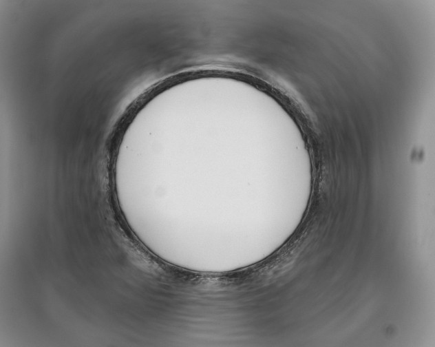 X0000097291360200803141501