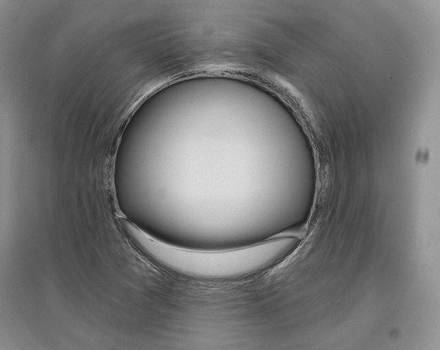 X0000097291361200803141501