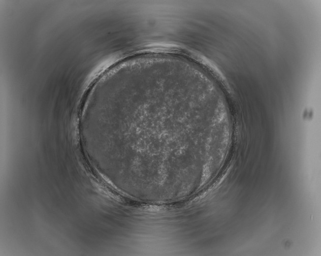 X0000097291362200803141501