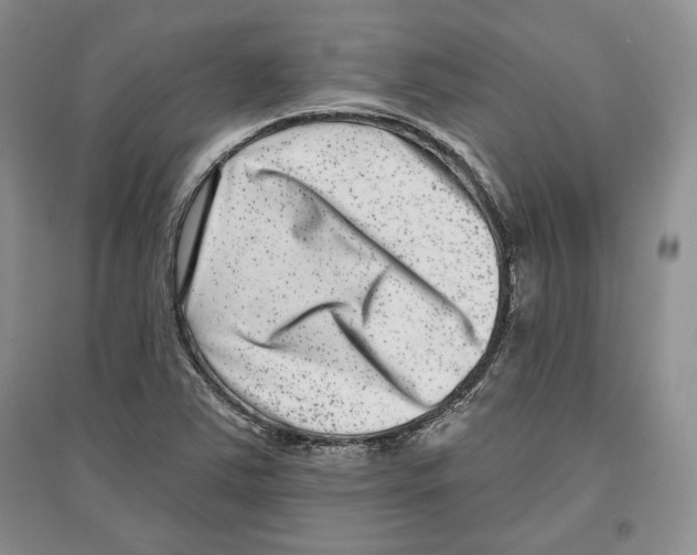 X0000097291363200803141501