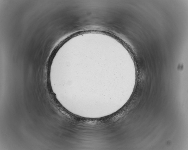 X0000097291364200803141501