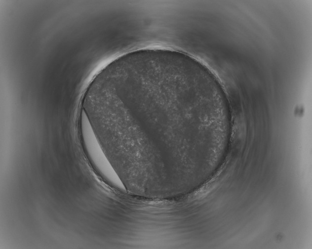 X0000097291367200803141501