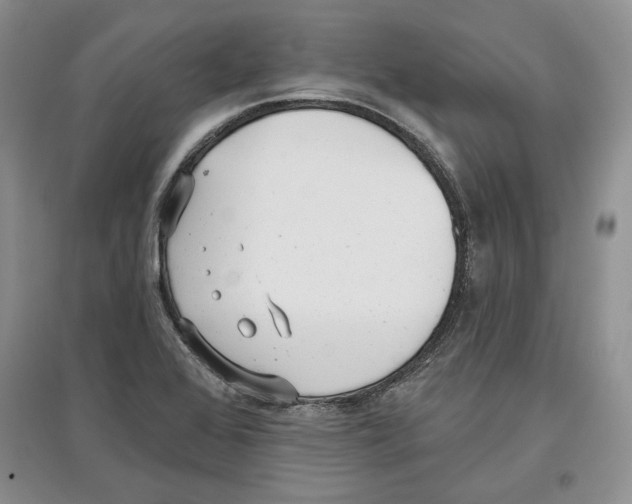 X0000097291368200803141501