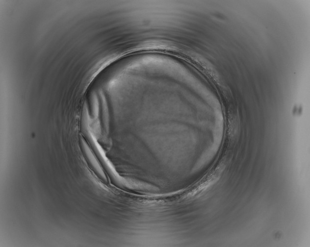 X0000097291369200803141501