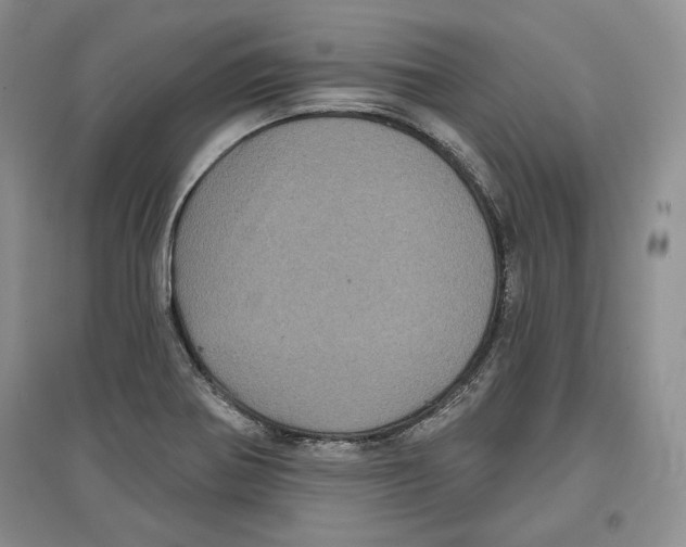 X0000097291370200803141501