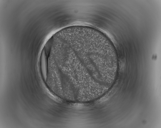 X0000097291371200803141501