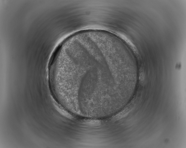 X0000097291372200803141501