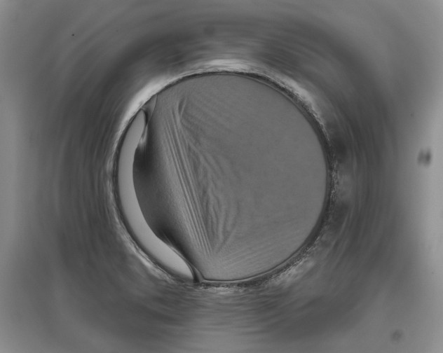 X0000097291373200803141501