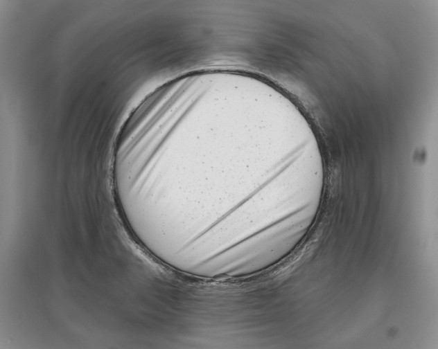 X0000097291374200803141501