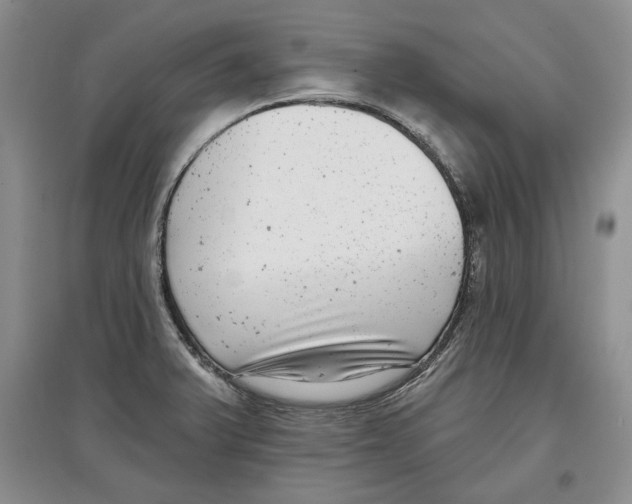 X0000097291375200803141501