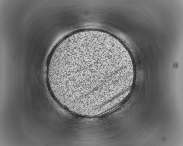 X0000097291376200803141501