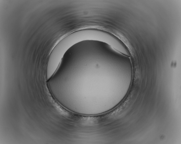 X0000097291377200803141501