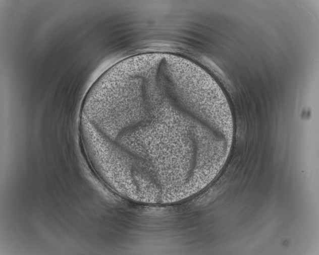 X0000097291378200803141501