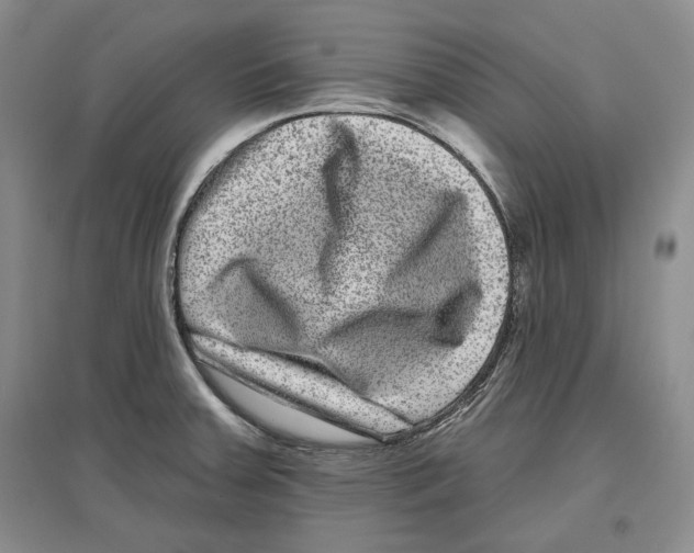 X0000097291379200803141501