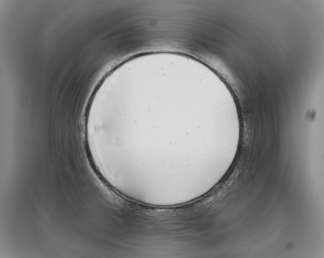 X0000097291380200803141501