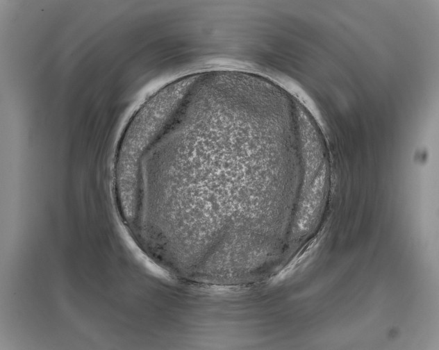 X0000097291381200803141501