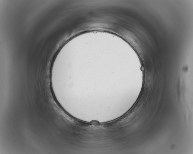 X0000097291384200803141501