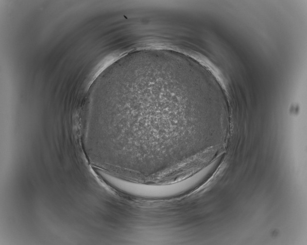 X0000097291385200803141501