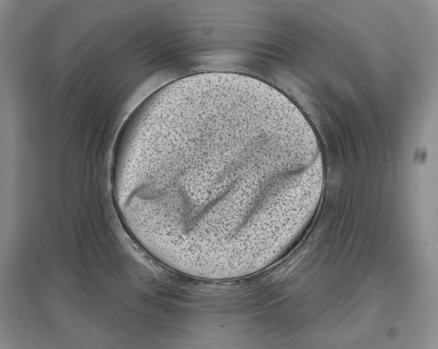 X0000097291386200803141501