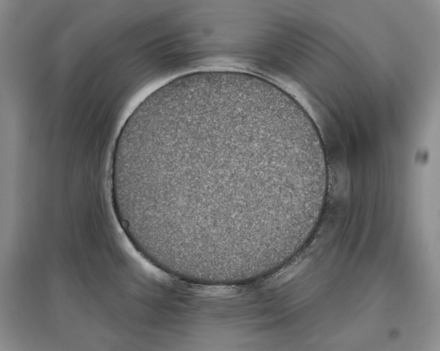 X0000097291387200803141501