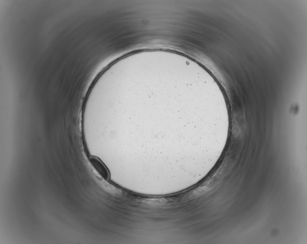 X0000097291388200803141501