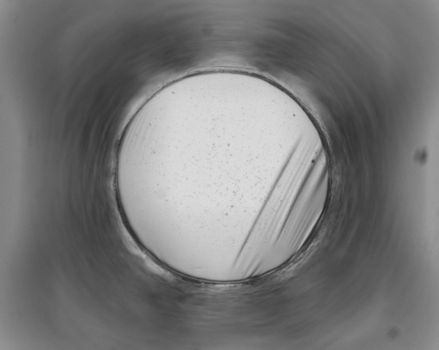 X0000097291390200803141501