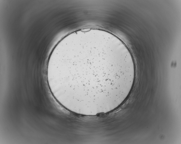 X0000097291392200803141501