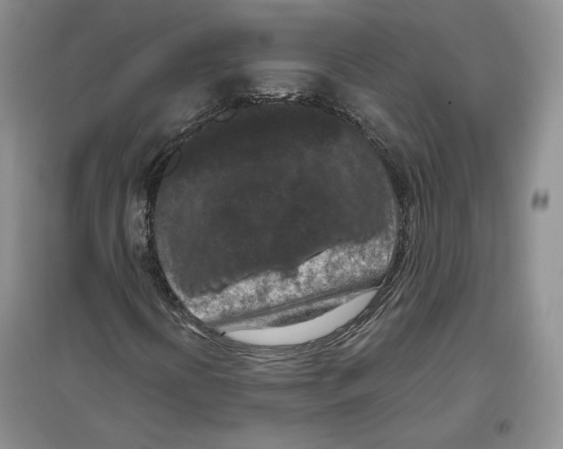 X0000097291394200803141500