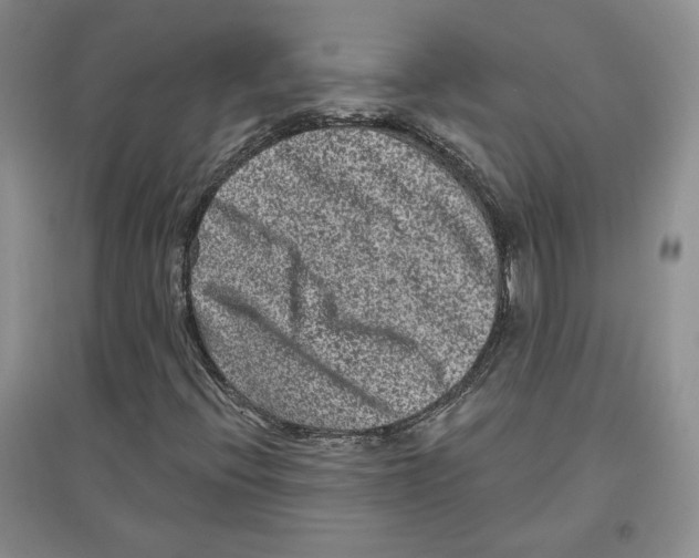 X0000097291396200803141500