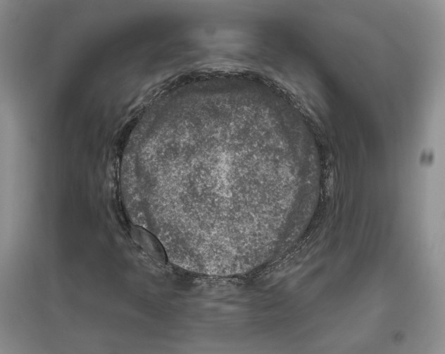 X0000097291397200803141500