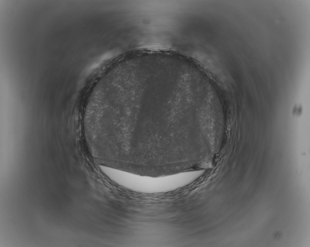 X0000097291398200803141500