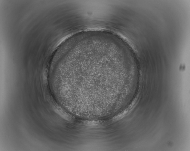 X0000097291401200803141500