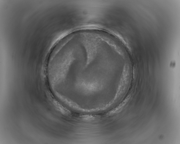 X0000097291405200803141500