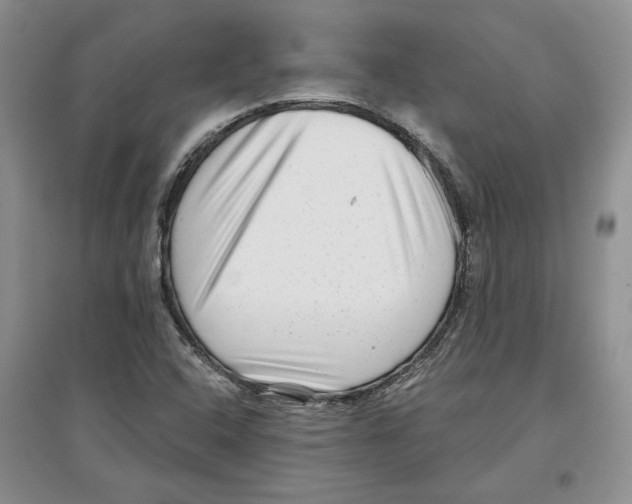 X0000097291408200803141500