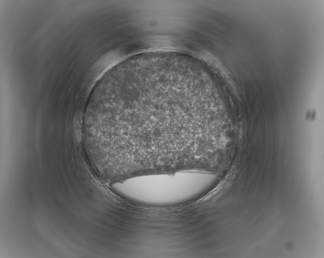 X0000097291409200803141500