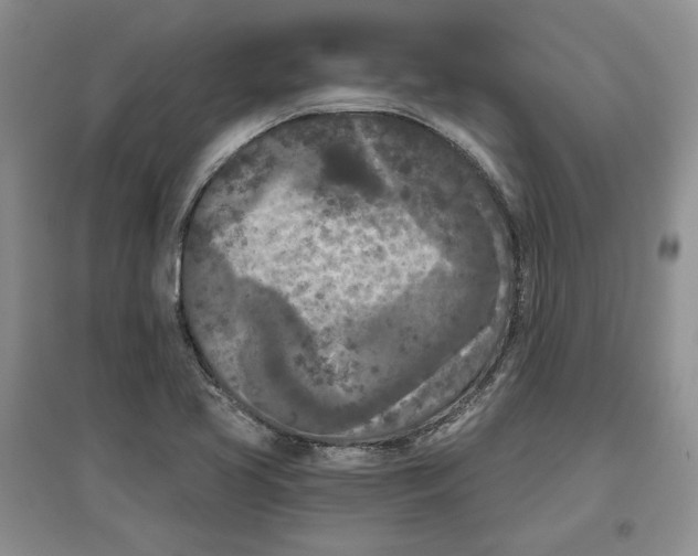 X0000097291413200803141500