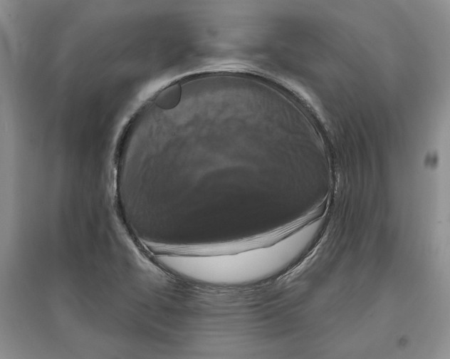 X0000097291414200803141500