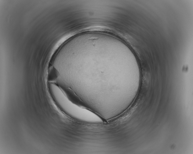 X0000097291418200803141500