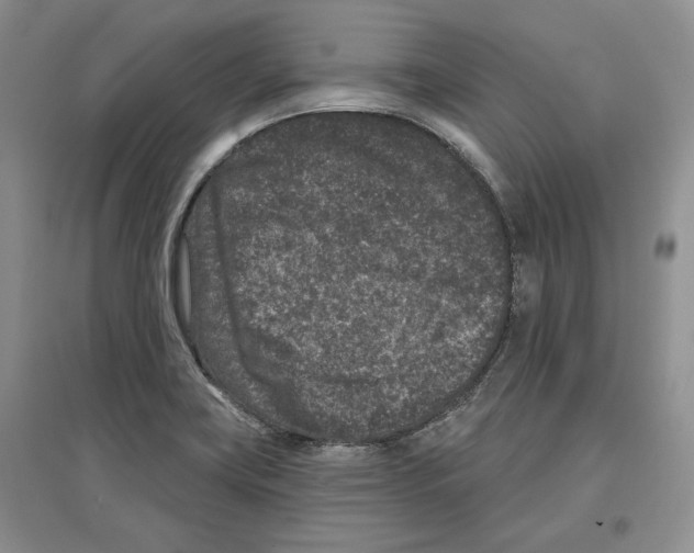 X0000097291419200803141500