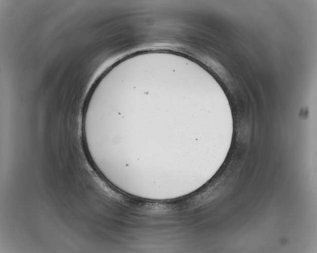 X0000097291420200803141500