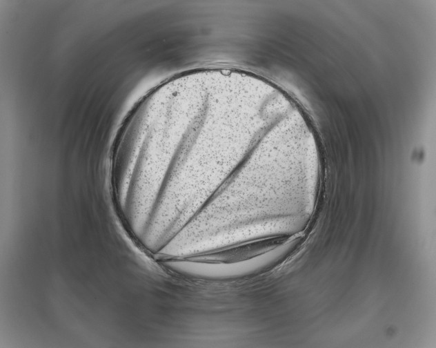 X0000097291424200803141500