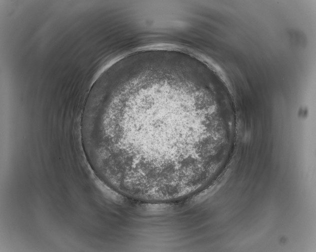 X0000097291425200803141500