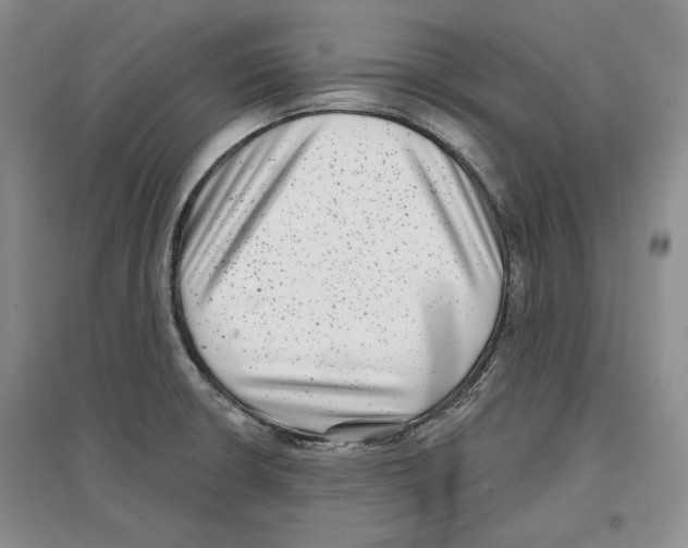 X0000097291426200803141500