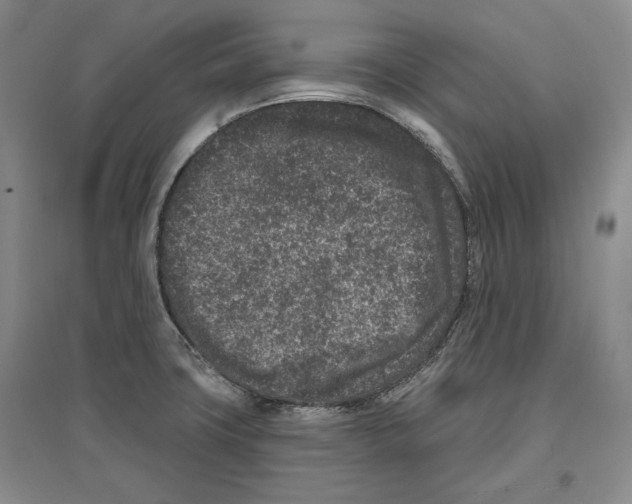 X0000097291427200803141500