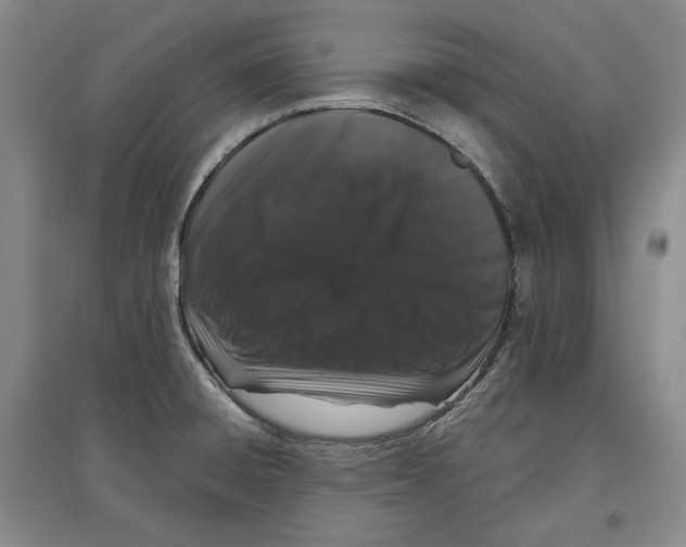 X0000097291428200803141500