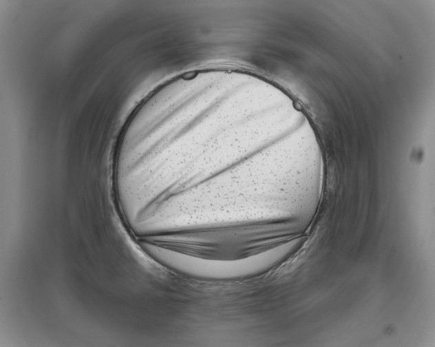 X0000097291430200803141500