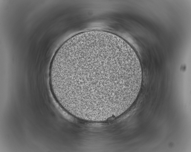 X0000097291431200803141500