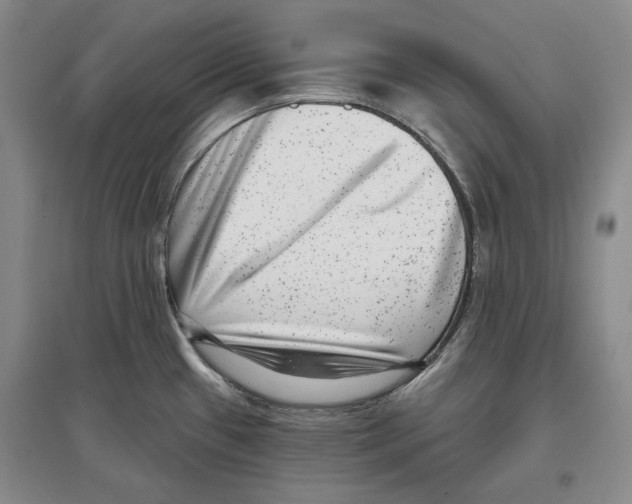 X0000097291433200803141500